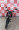Imagem 5