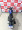 Imagem 7