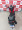 Imagem 7